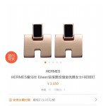 Hermes Earrings