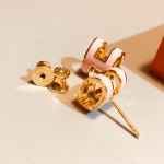 Hermes Earrings