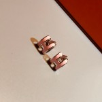 Hermes Earrings