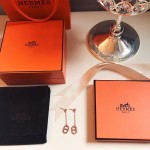 Hermes Earrings