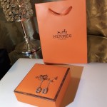 Hermes Earrings