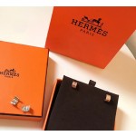 Hermes Earrings