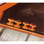 Hermes Earrings