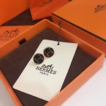 Hermes Earrings