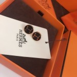 Hermes Earrings