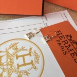 Hermes Earrings