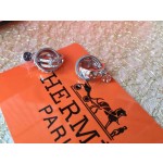 Hermes Earrings