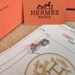 Hermes Earrings