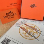 Hermes Earrings