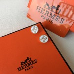 Hermes Earrings