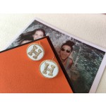 Hermes Earrings