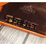 Hermes Earrings