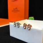 Hermes Earrings