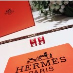 Hermes Earrings