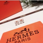 Hermes Earrings