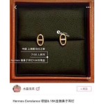 Hermes Earrings