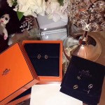 Hermes Earrings