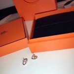 Hermes Earrings