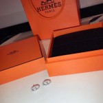 Hermes Earrings