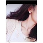 Hermes Earrings