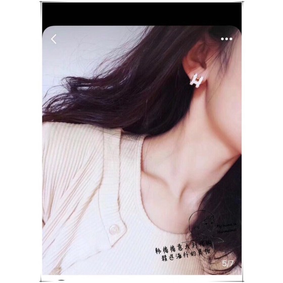Hermes Earrings