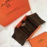 Hermes Earrings