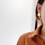 Hermes Earrings