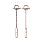 Hermes Earrings