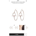 Hermes Earrings