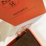 Hermes Earrings