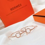 Hermes Earrings