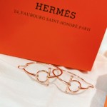 Hermes Earrings