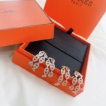 Hermes Earrings