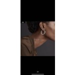 Hermes Earrings