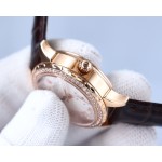 Rolex Ladies Jewelry Collection