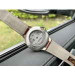 Cartier Fine Men's Watches