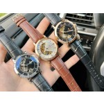 Patek Philippe Men's Watches