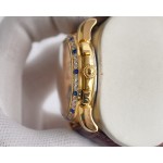 Patek Philippe Men's Watches