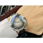 Cartier Fine Men's Watches