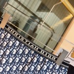 Dior Bikini Swimwear