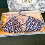 Dior New Bikini Swimsuit