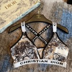 Dior Separate swimming costume