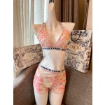 Dior split bikini swimming costume