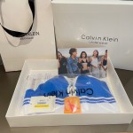 Ck Underwear Women Steelless Triangle Cup with Bra Pads Sexy Sports Bra Low Waist Ck Briefs Swimwear