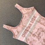 Dior New One-Piece Swimsuit
