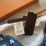 Louis Vuitton Bikini swimming costume