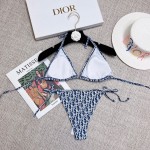 Dior new split swimsuit