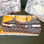 Dior new split swimsuit