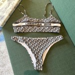 Dior new split swimsuit