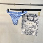 Dior new split swimsuit